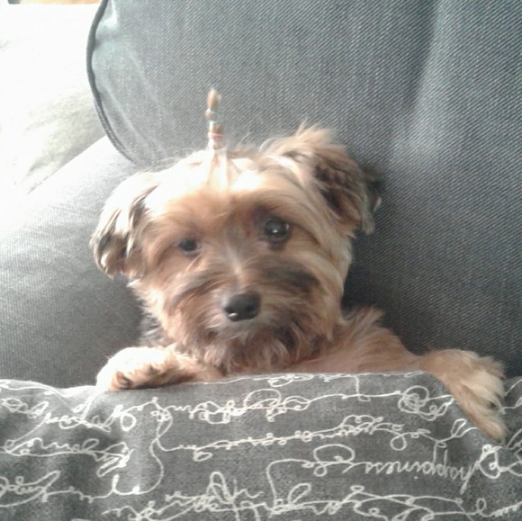 Meet your Posher, Kelly - Picture 1 of 1